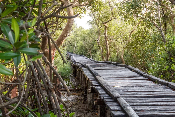 Hölzerne Brücke Pfad Bei Pichavaram Ist Dorf Der Nähe Chidambaram — Stockfoto