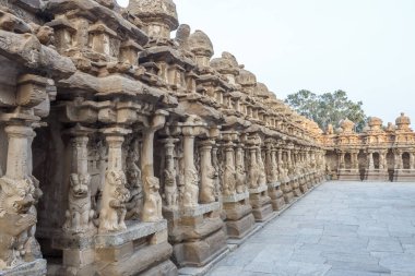 Kanchipuram kailasanathar tapınağının antik tapınağı ve 685-705ad döneminde kumtaşı bileşik malzeme kullanılarak inşa edilmiş oymalar ve türbeler çok sayıda içerir.konuya düşük ışık seçici odak