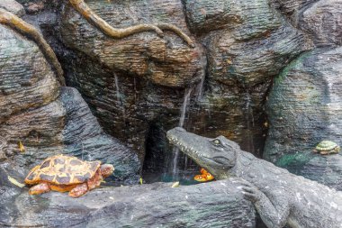 Vahşi timsahlar veya timsahlar güneşte güneşlenme grubu ve muhafaza ve popüler turistlerin cazibe ve ünlü dönüm noktası biri