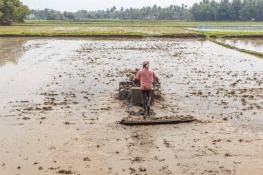 Tanımlanamayan güney Hint çiftçi mekanik bir makine kullanarak çiftlik alanında pirinç bitkileri hasat. Konuya seçici bir şekilde odaklanarak.