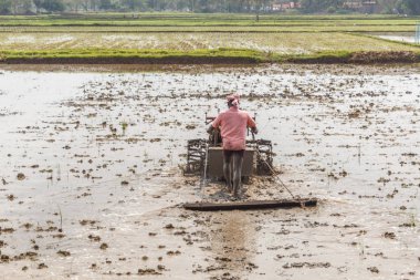 Tanımlanamayan güney Hint çiftçi mekanik bir makine kullanarak çiftlik alanında pirinç bitkileri hasat. Konuya seçici bir şekilde odaklanarak.