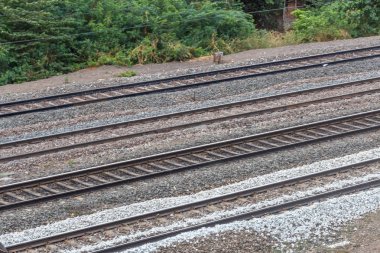 Demiryolu parça görünümü hareketli bir elektrikli tren ve karanlık cl ile görüldü