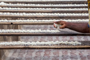 Bir kuş bekçisi beslenen veya ahşap levhalar üzerinde ıslak pirinç yerleştirerek gördüm f