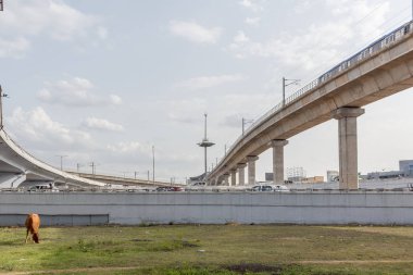 benimle yolda hız araçlar ile görülen ulusal karayolu