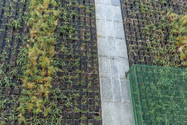 Giardino verticale — Foto Stock