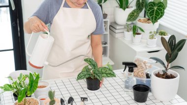 Çekici genç Asyalı kadın pencerenin yanındaki saksıları sulıyor, ev konseptinde bahçıvanlık yapıyor..