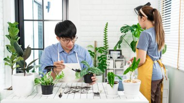 Mutlu bir Asyalı çift bitkilerle ilgileniyor ve bahçeyle ilgileniyor birlikte zaman geçiriyorlar, ev bitkileri, yeşillik ve bakım konsepti.