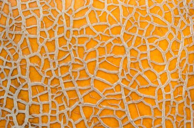 Karpuz kabuğu Close-up. Arka plan