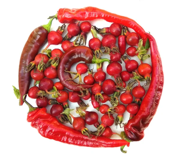 Chili-paprikat ja ruusunmarjat pyöreässä koristeessa valkoisella taustalla — kuvapankkivalokuva