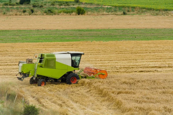 Grande moissonneuse-batteuse verte travaillant dans un champ d'or de blé, fauche l'herbe dans le champ d'été. Machines agricoles récoltant les céréales dans les champs fertiles — Photo