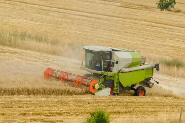 Big green combine harvester machine working in a wheat gold field, mows grass in summer field. Farm machinery harvesting grain in the fertile farm fields Royalty Free Stock Images