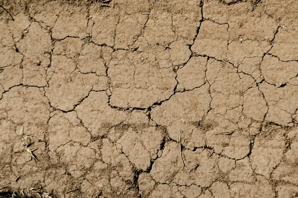 Textuur van droge bruin gebarsten aarde. Gebrek aan vocht op de bodem, droogte. Het concept van dehydratie land. Foto als achtergrond. Minimalistisch achtergrond ontwerp. Plaats voor tekst Stockfoto