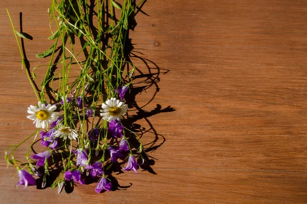 濃い茶色の木製のテーブルの上に緑の葉を持つ白いカモミールと紫色の鐘の花。フラットレイアウト、トップビュー、テキストのコピースペース。花壁紙のコンセプト ストック写真