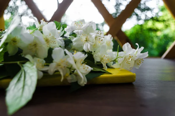 Weiße Jasminblüten mit grünen Blättern und gelbem Notizbuch auf dunkelbraunem Holztisch. flache Lage, Draufsicht, Kopierraum für Text. Florales Tapetenkonzept — Stockfoto