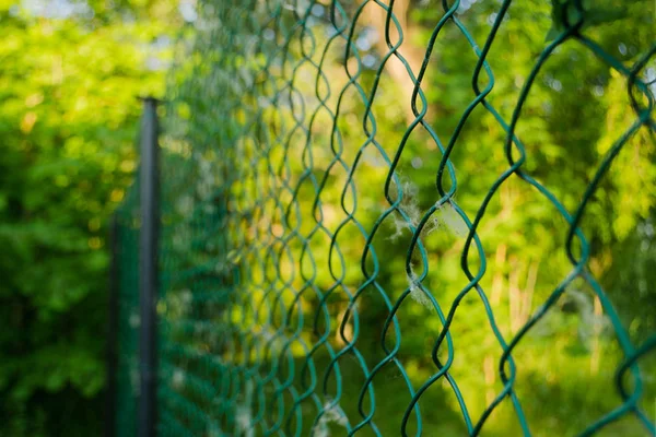 Крупним планом металева ланка в саду. Діамантова сітка дротяного паркану на розмитому зеленому тлі. Залізна сітка решітки в літньому візерунку. Сітка в сонячний день. Вибірковий фокус — стокове фото