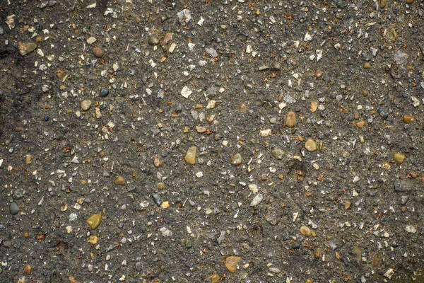 Çakıl taşlı ve küçük taşlı kuru gri asfalt dokusu. Soyut kaba kabataslak yüzey kavramı. Kopya alanı ile minimal arkaplan tasarımı. Eklektik düz çatı katı tarzı, çakıllı üst görünüm