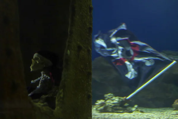 Skeleton of a dead pirate at the bottom of the ocean next to a waving pirate flag with crossbones and a skull. Adventure and underwater treasure wreck concept. Blurred texture and background