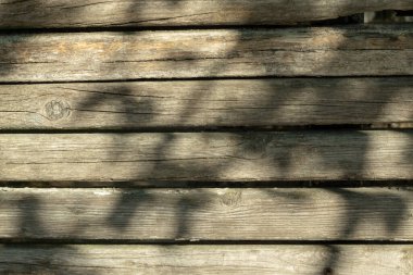 Kopya alanı ve gölgesi olan ahşap doku arkaplanı