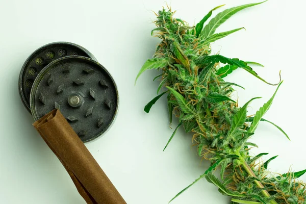 Cannabis Knospe Mit Schleifer Und Stumpfer Oder Gelenkiger Flacher Draufsicht — Stockfoto