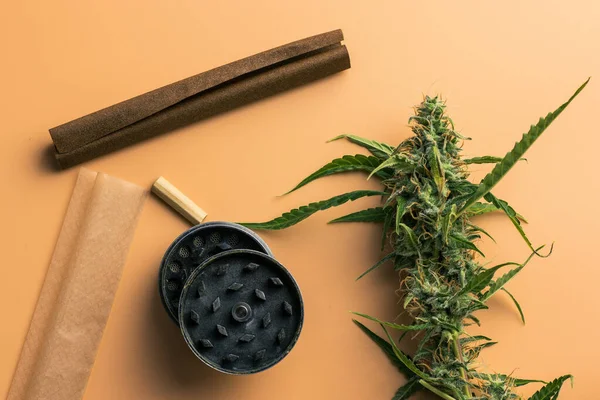 Close-up of marijuana plant and smoking accessories. Grinder, blunt and joint paper top view flat lay. Cannabis buds.