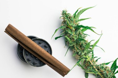 Yasal kenevir endüstrisi. Tıbbi kullanım için ticari marijuana. Sigara içilen aksesuarlar. Ot, bitkiyle körelmiş. Beyaz arkaplan üstü görünümü.
