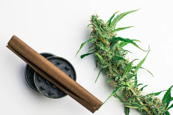 Legális Cannabis Ipar Kereskedelmi Marihuána Orvosi Felhasználásra Dohányzó Kiegészítők Növényekkel — Stock Fotó