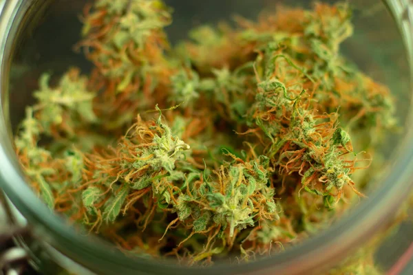 마리화나 꽃봉오리 매크로 Cannabis 의학이나 레크리에이션 목적으로 사용되는 약물이다 보케와 — 스톡 사진