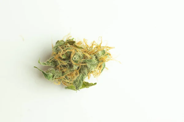 Cannabis Bud Izolované Bílém Pozadí — Stock fotografie