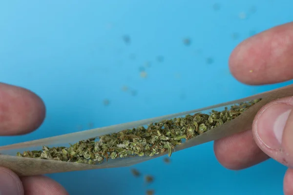 Férfi Kéz Gördülő Tompa Vagy Közös Kannabisz Bimbók — Stock Fotó