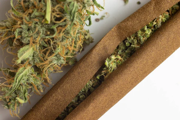 Cannabis Trubbig Roll Och Marijuana Knopp Närbild — Stockfoto