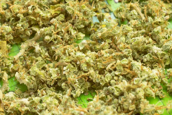 Crumbled Cannabis Marijuana Background Top View Macro — Stock Photo, Image