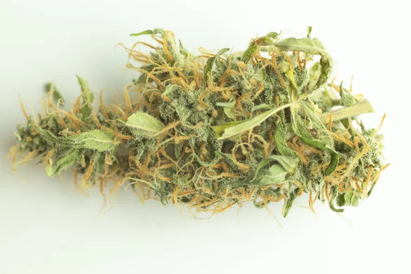 Marihuana Medizinische Droge Knospe Isoliert Auf Weißem Hintergrund — Stockfoto