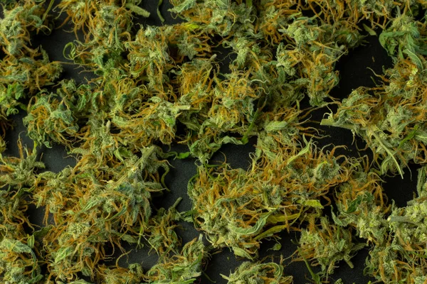 Cannabis Buds Texture Background Marijuana Backdrop — Stock Photo, Image