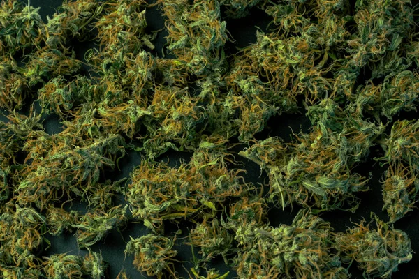 Cannabis Texture Close Background Top View Copy Space Marijuana — Stock Photo, Image