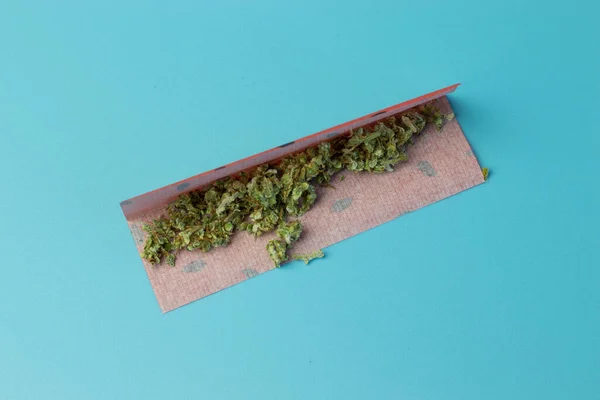 Cannabis Joint Paper Mit Fruchtgeschmack Draufsicht Auf Blauem Hintergrund — Stockfoto