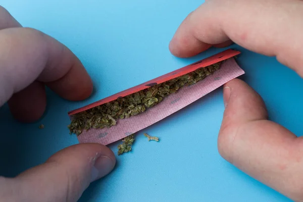 Rodando Marihuana Primer Plano Uso Cannabis Legal Plantilla Diseño Concepto —  Fotos de Stock