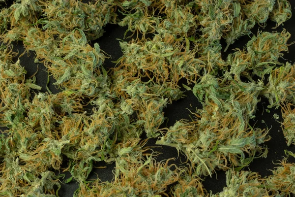Cannabis Pozadí Marihuana Pupeny Close Plevel Plochý Ležel Mockup — Stock fotografie