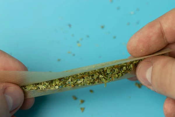Man Making Marijuana Joint Smoking Shredded Cannabis Paper — Stock Photo, Image