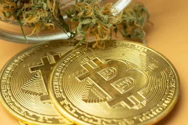 Bitcoin-Makro-Foto mit Cannabis-Knospen. Medikamente für Kryptowährungen kaufen. — Stockbild Bitcoin Makro Foto Mit Cannabis Knospen Medikamente Für Kryptowährungen Kaufen — Stockfoto