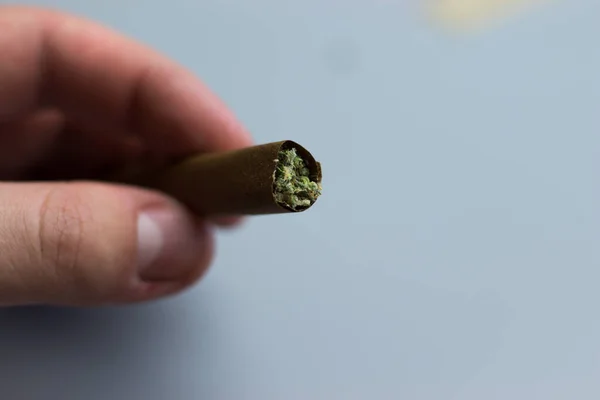 Cannabis Stumpf Nahaufnahme Leerzeichen Hintergrund Für Text Kopieren — Stockfoto