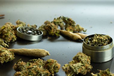 Uzay marihuana arka planı, esrar tomurcukları ve ot öğütücüsü tasarımı. Tıbbi marihuana içmek için esrar.