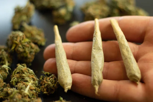 Förband Med Marijuana Handflatan Närbild Och Cannabis Bakgrunden — Stockfoto