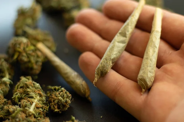 Cone Cannabis Joints Großaufnahme Auf Der Handfläche Verschwommener Hintergrund Mit — Stockfoto