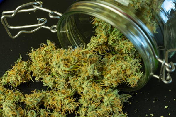 Download Cannabis Buds Texture Background Marijuana Backdrop Copy Space Recreational Stock Photo 400190116