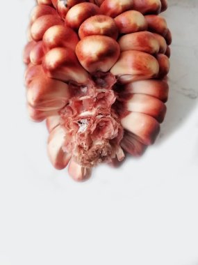 Beyaz arkaplanda kuru mısır