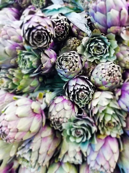 Carciofi Sono Come Fiori — Foto Stock