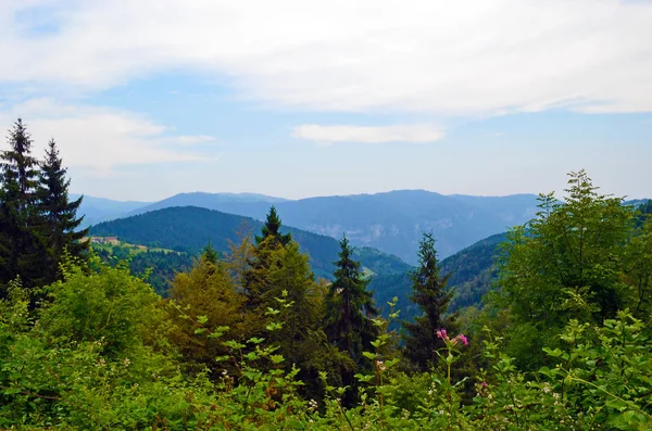 güzel dağ vadisi görünümü