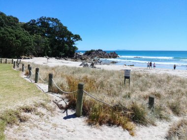 Mount Maunganui, Yeni Zelanda 'da sahilde halatlar