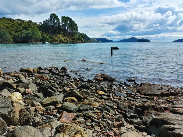 Coromandel yarımadasında güzel defne, temiz su ve taşlı plaj, Yeni Zelanda