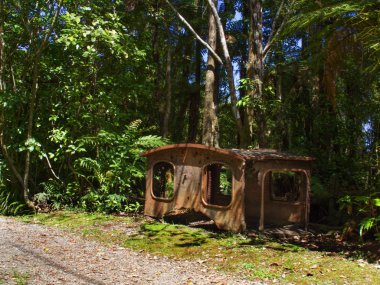 Charming Creek Geçidi, Yeni Zelanda 'da paslı madencilik kalıntıları.